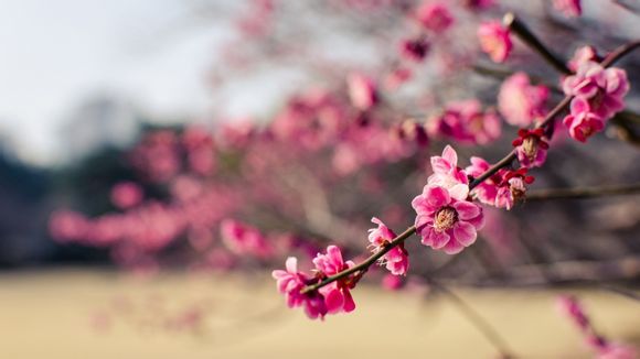 数控车床75度怎么算